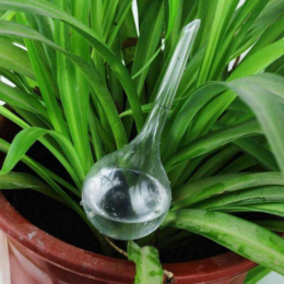 Plant Watering Bulb